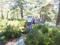 2014-07-03 12-41-41 Rando foret de Nemours APr